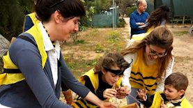 משק לוין, צילום: משק לוין